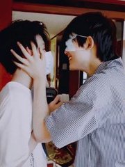 pr九天狐科技升级版